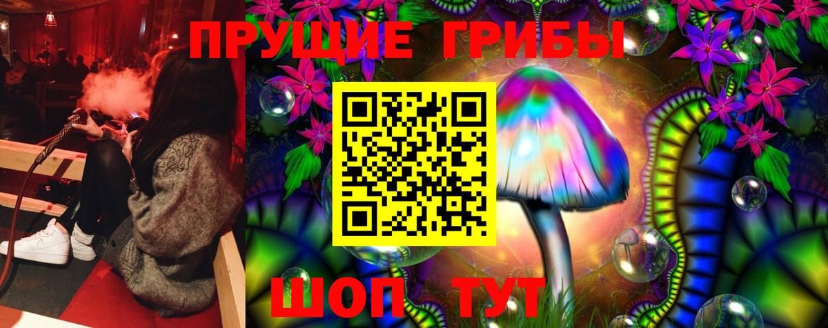 Галлюциногенные грибы Cubensis Полевской